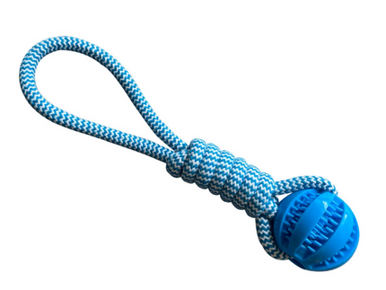 Collection image for: Mascotas