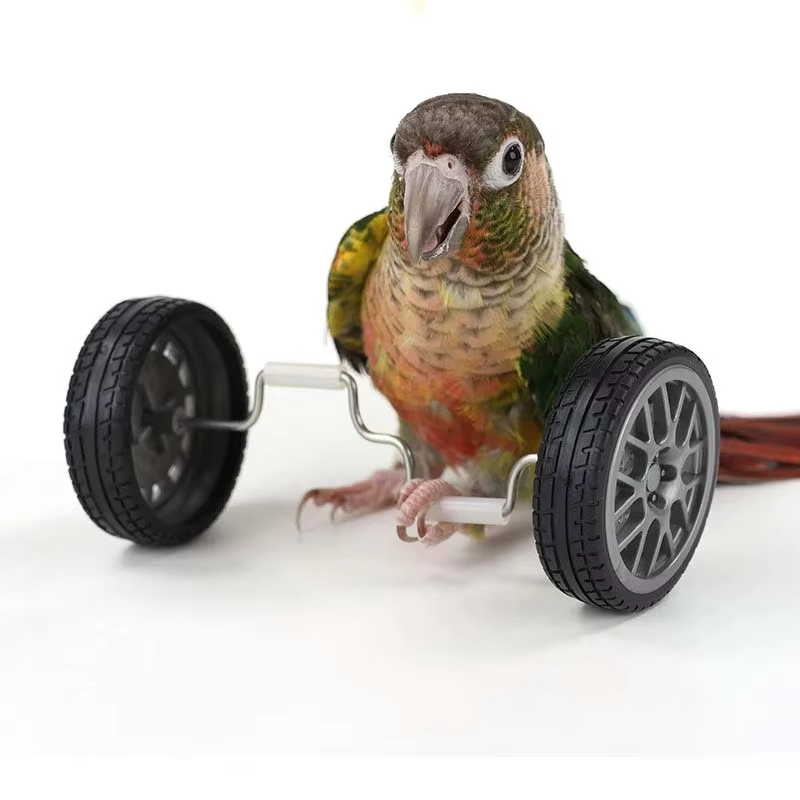 Juguete de entrenamiento creativo para pajarosJuguetes