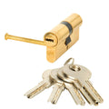 Cilindro de segurança 60-p 30x30 com revestimento em latão 15,0 mm