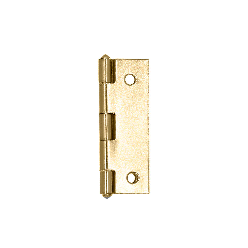 Brass-plated hinge 5005 1"