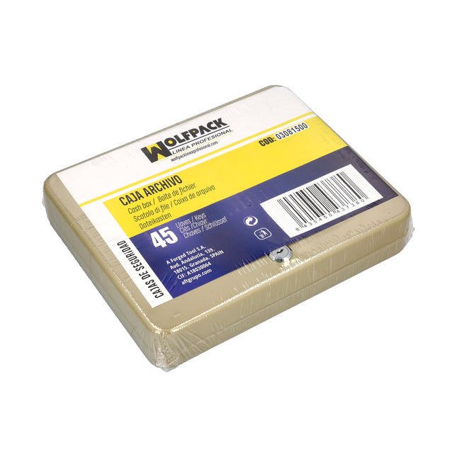 Armario de seguridad para llaves para 45  llaves, armario seguridad llaves, armario llavero, 6x24x30 cm