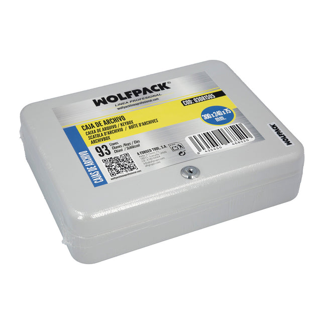 Armario de seguridad para llaves para 93  llaves, armario seguridad llaves, armario llavero, 6x24x30 cm