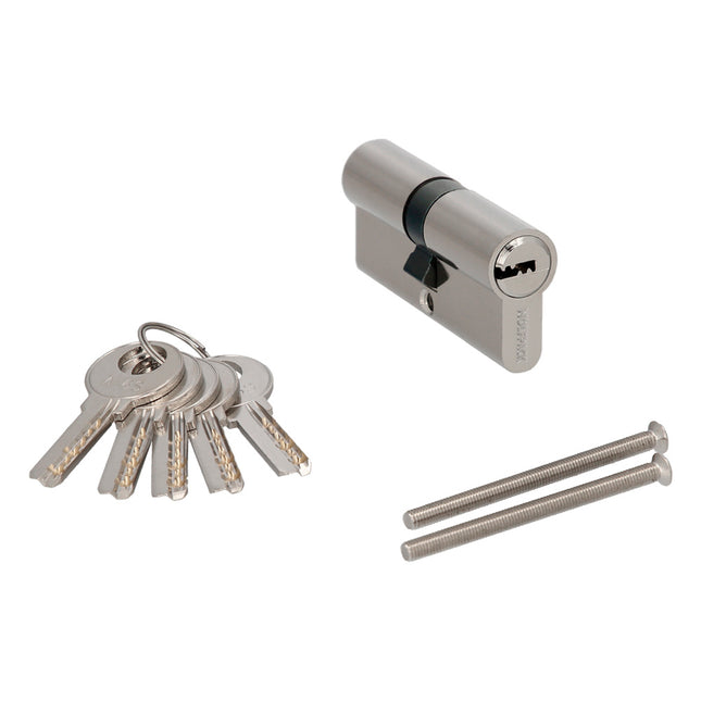 Cilindro seguridad 30x30 mm. leva larga niquelado con 5 llaves