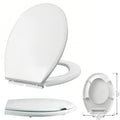 Special toilet seat