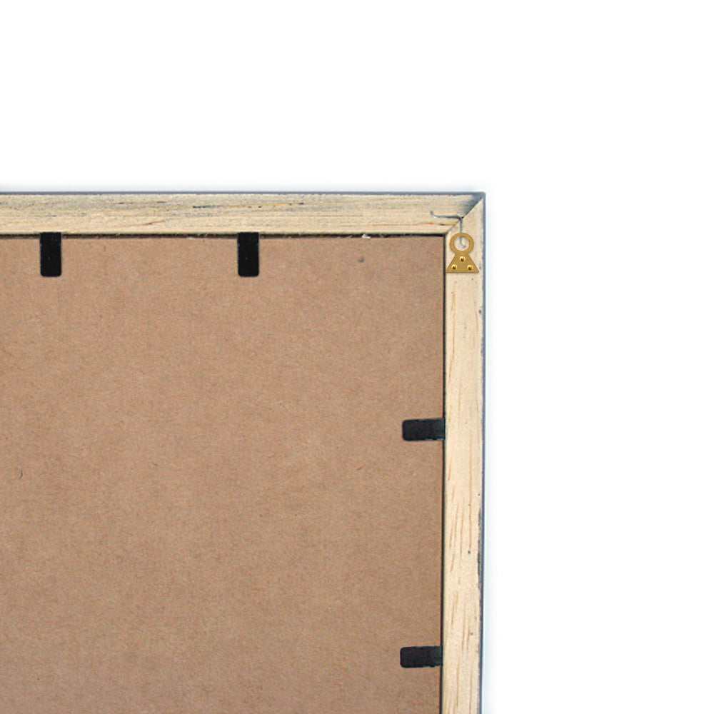 Picture hanger fixed no. 1 (blister 8 pieces)