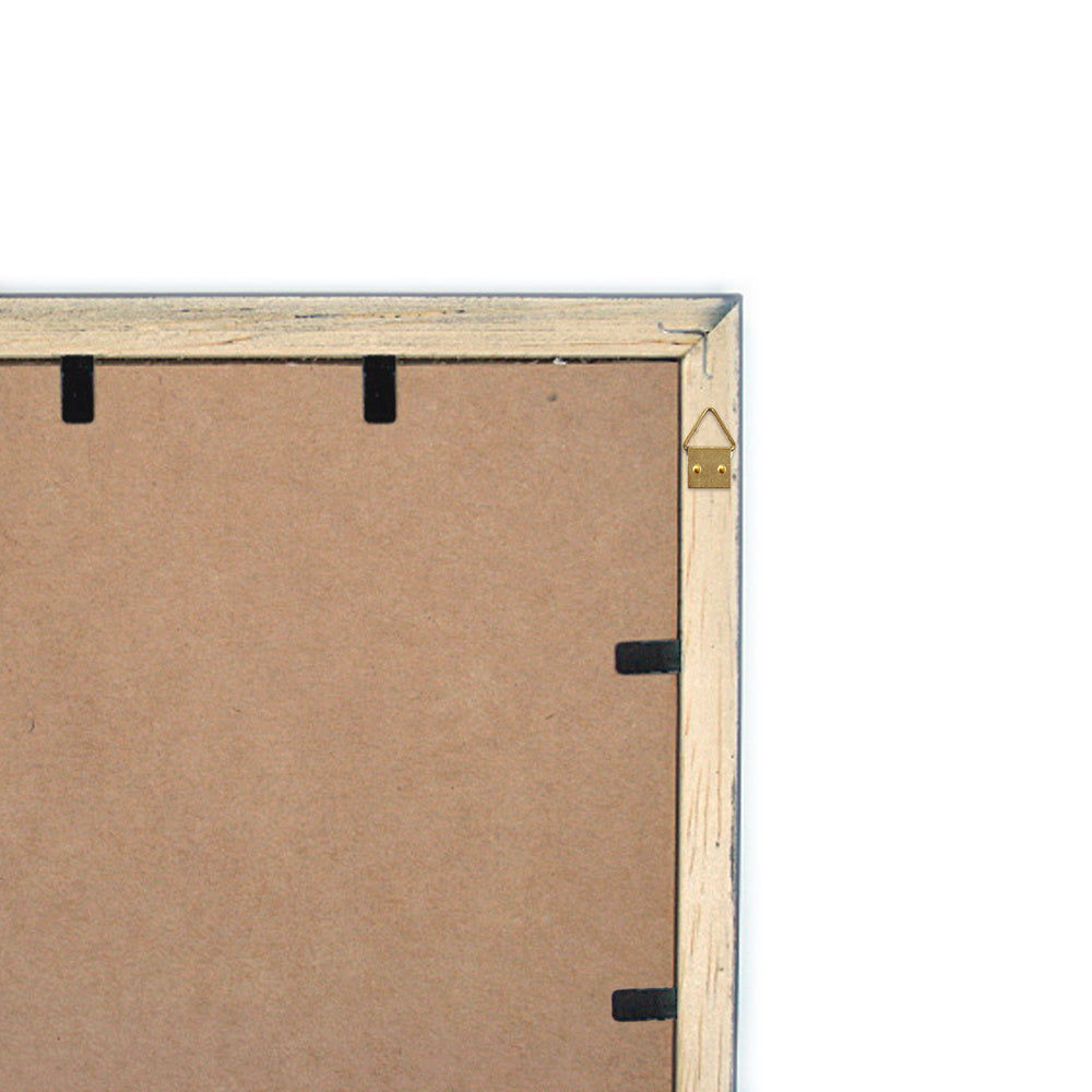 Picture hangers with ring no. 2 (blister pack of 12 pieces)
