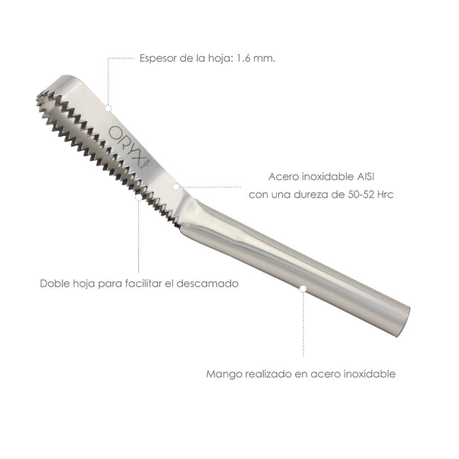 Descamador pescado profesional acero inoxidable 250 mm