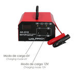 6/12V 10-150 Ah automatic battery charger with charge maintainer
