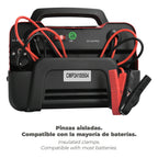 Charges 12/24V 10-100Ah batteries