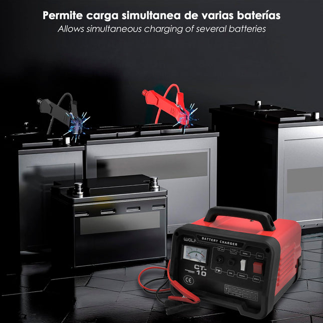 Carga baterías 12/24V 10-100ah