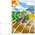Trellis netting (1.5x100 meter roll)