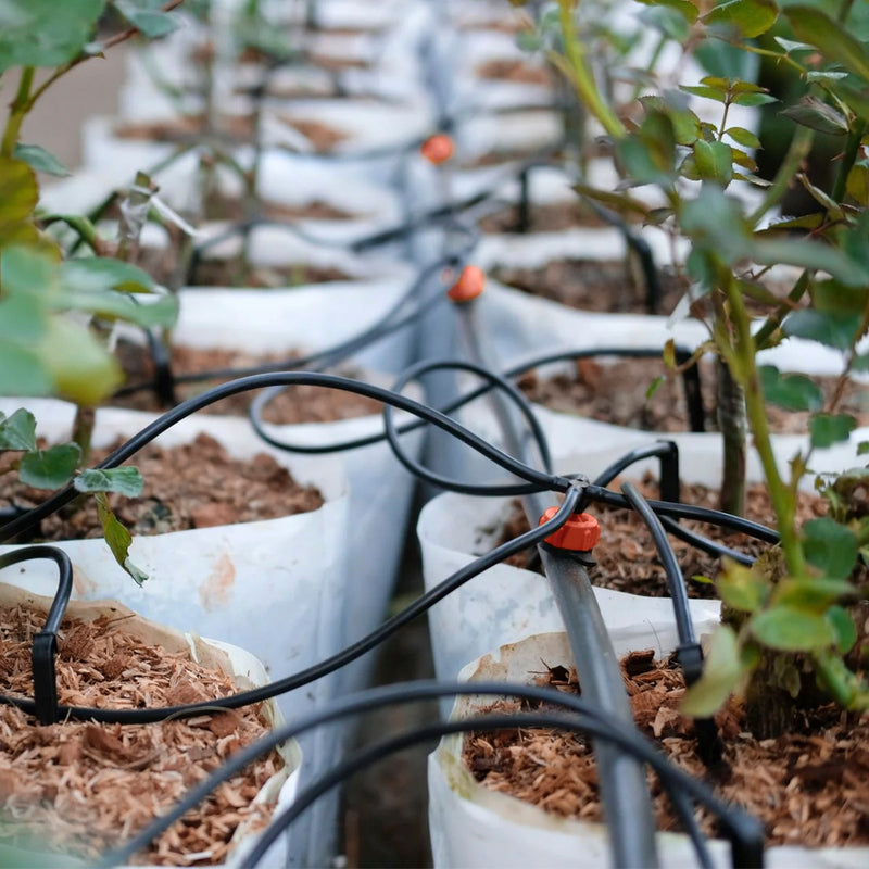 Tuberia de riego por goteo ø 16 mm. espesor tubo 1,2 mm. uso agricola 50 metros