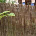 Mimbre natural ocultación ligera  rollo 5 x 2 metros