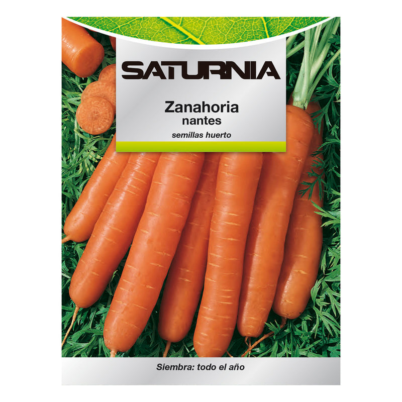 Semillas zanahoria nantes temprana (7 gramos). semillas verduras, horticultura, horticola, semillas huerto
