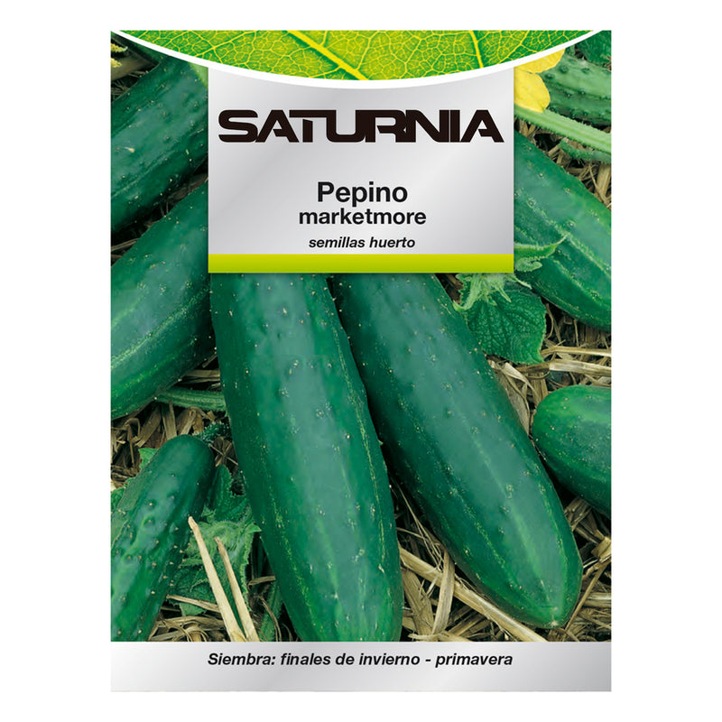 Semillas pepino marketmore (5 gramos) semillas verduras, horticultura, horticola, semillas huerto