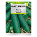 Marketmore cucumber seeds (5 grams) vegetable seeds, horticulture, garden seeds.