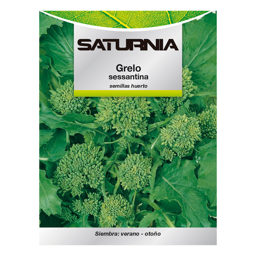 Semillas grelo brocoli (10 gramos) semillas verduras, horticultura, horticola, semillas huerto.