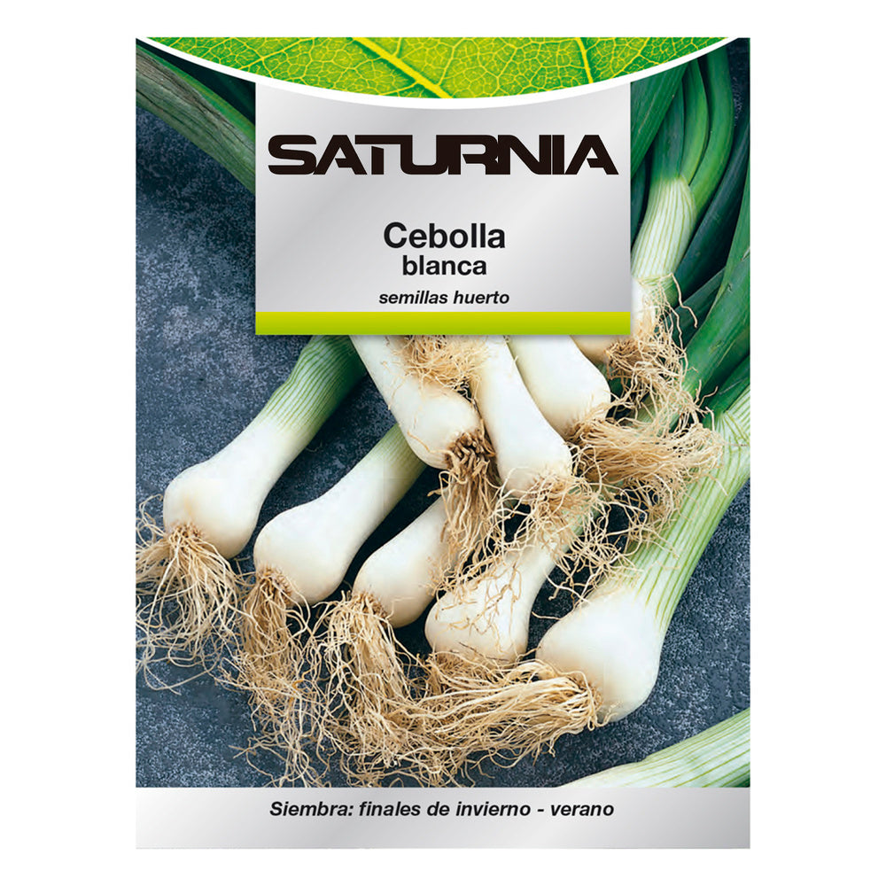White onion seeds (4 grams) vegetable seeds, horticulture, garden seeds.