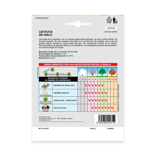 Semillas lechuga reina del hielo (7 gramos) semillas verduras, horticultura, horticola, semillas huerto