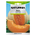 Cantaloupe Melon Seeds (3 grams) fruit seeds, horticulture, vegetable, garden seeds.