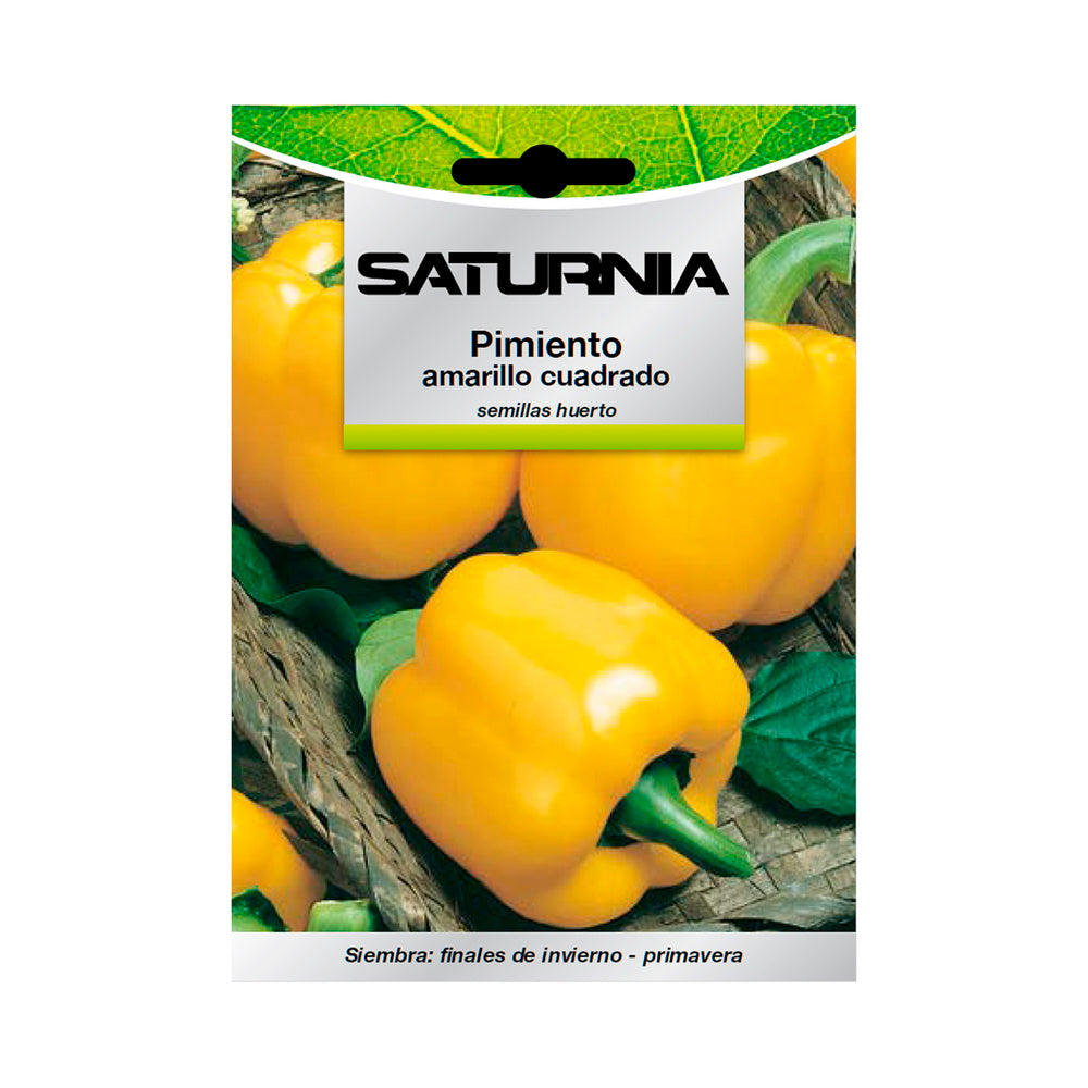 Square yellow pepper seeds (1.5 grams) vegetable seeds, horticulture, market gardening, garden seeds.