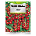 Cherry tomato seeds (1 gram) vegetable seeds, horticulture, garden seeds.