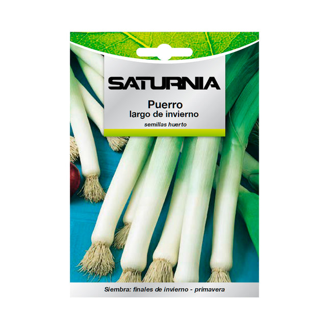 Semillas puerro largo de invierno (3 gramos) semillas verduras, horticultura, horticola, semillas huerto