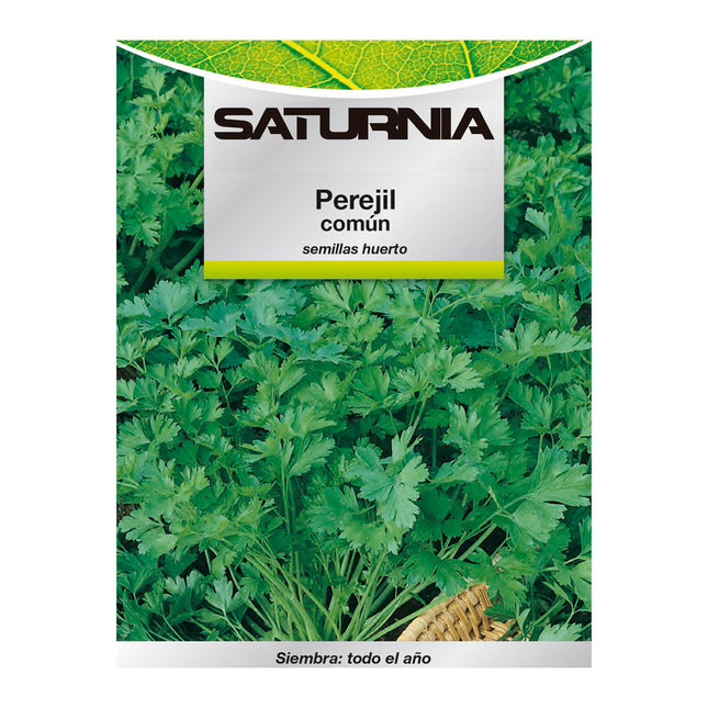 Semillas perejil comun (8 gramos) semillas verduras, horticultura, horticola, semillas huerto