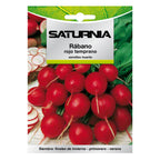 Early Red Radish Seeds (8 grams) vegetable seeds, horticulture, horticultural, garden seeds.