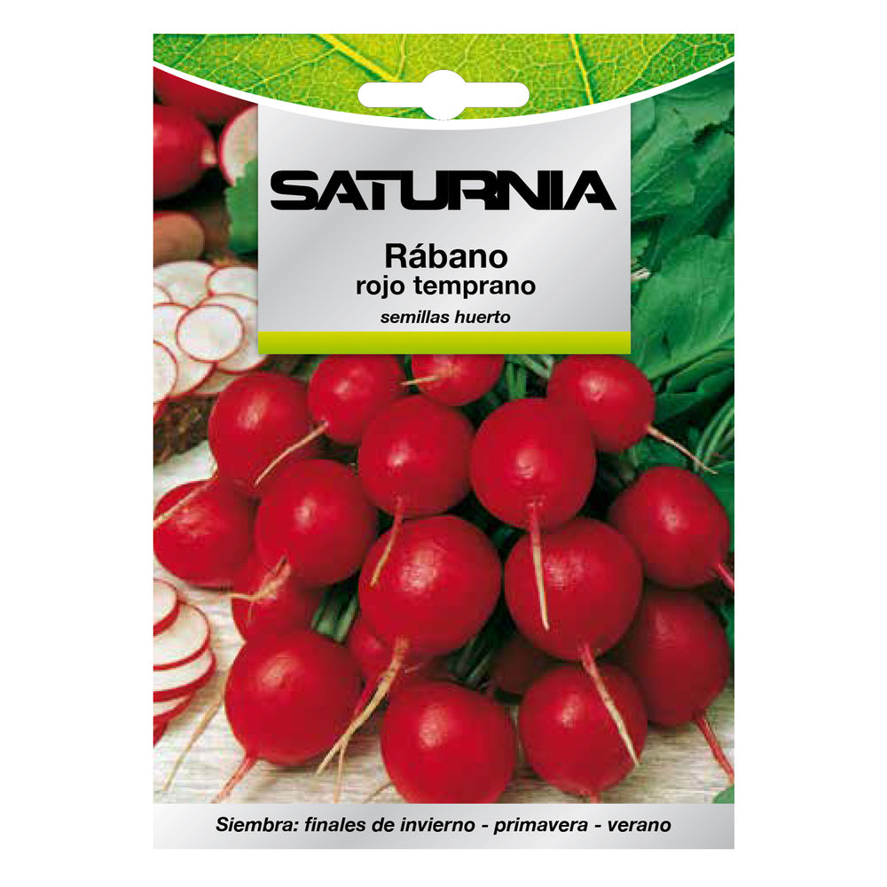 Early Red Radish Seeds (8 grams) vegetable seeds, horticulture, horticultural, garden seeds.