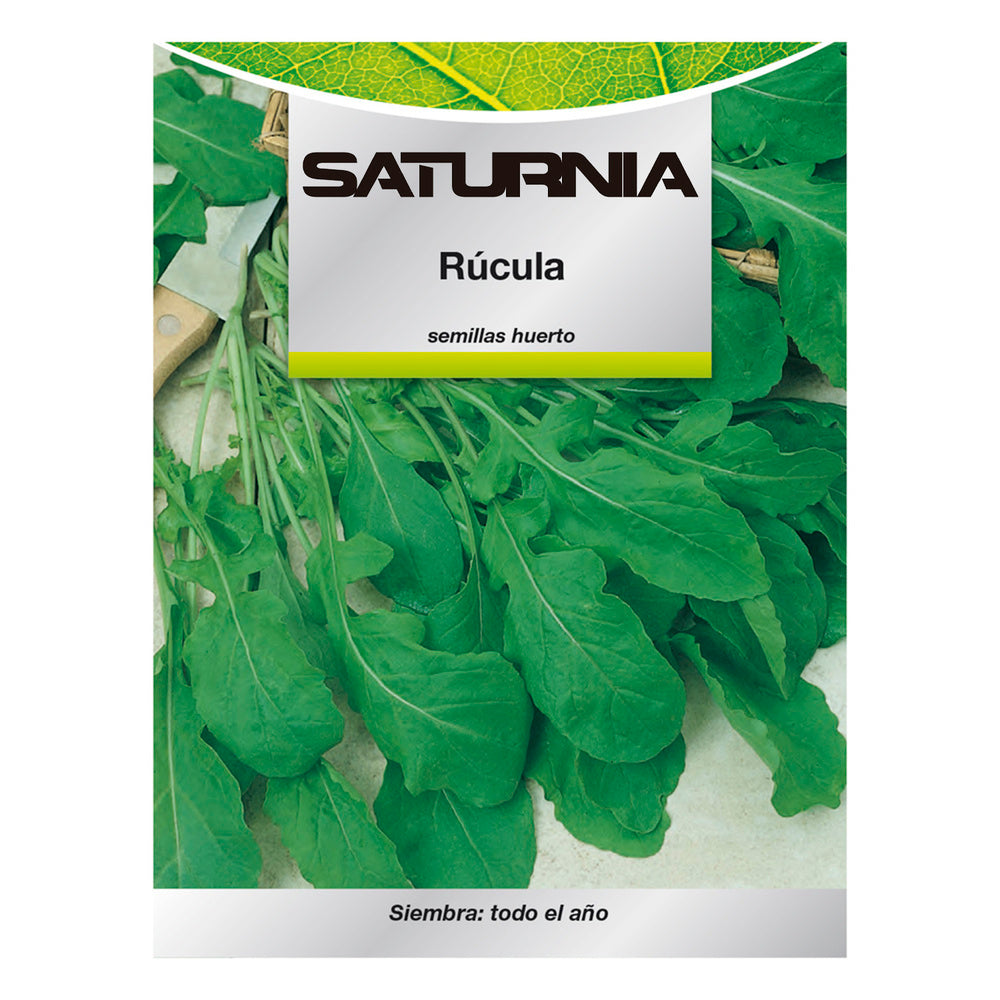 Arugula seeds (9 grams) vegetable seeds, horticulture, garden seeds.