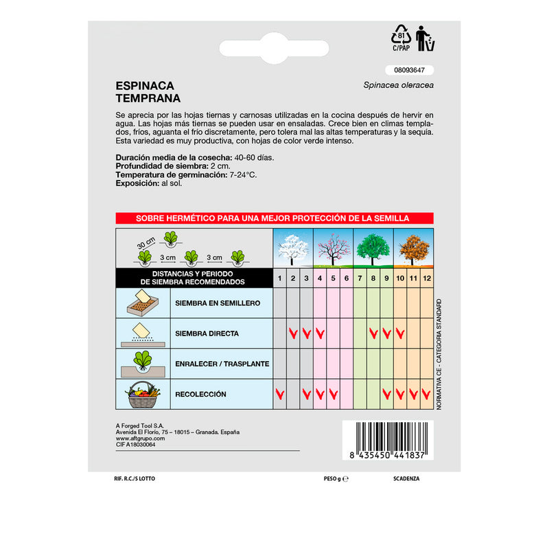 Semillas espinaca temprana (8 gramos) semillas verduras, horticultura, horticola, semillas huerto
