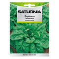 Early spinach seeds (8 grams) vegetable seeds, horticulture, garden seeds.