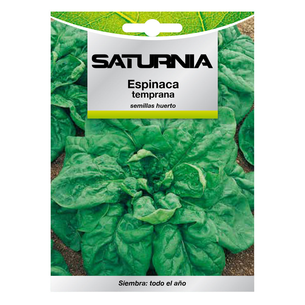 Early spinach seeds (8 grams) vegetable seeds, horticulture, garden seeds.