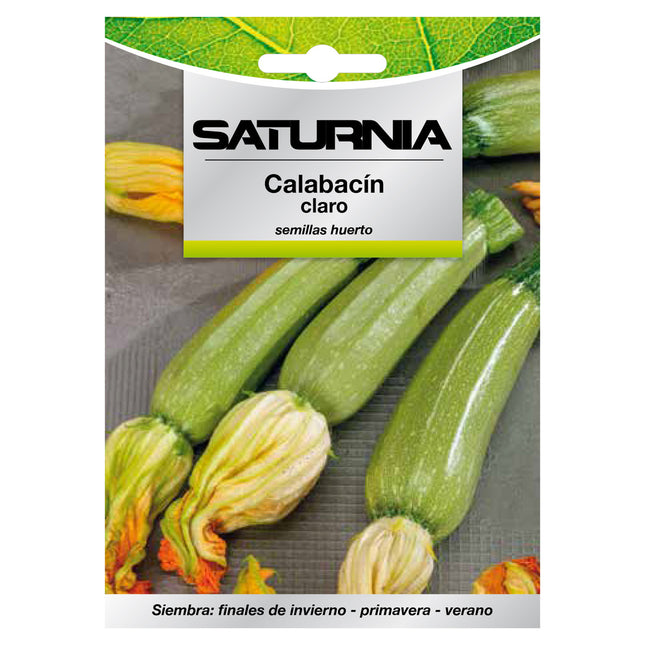 Semillas calabacin claro (5 gramos) semillas verduras, horticultura, horticola, semillas huerto