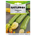 Light zucchini seeds (5 grams) vegetable seeds, horticulture, market gardening, garden seeds.