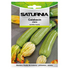 Light zucchini seeds (5 grams) vegetable seeds, horticulture, market gardening, garden seeds.