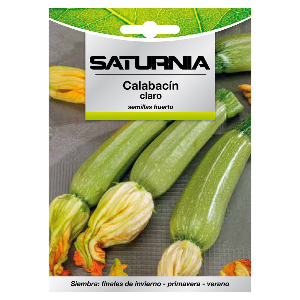 Light zucchini seeds (5 grams) vegetable seeds, horticulture, market gardening, garden seeds.