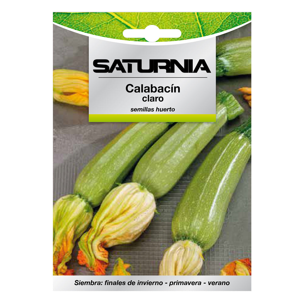 Dark Green Zucchini Seeds (5 grams) vegetable seeds, horticulture, garden seeds.
