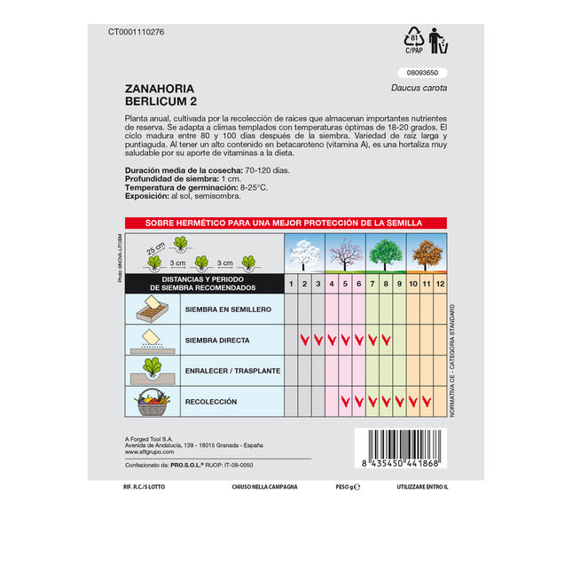 Semillas huerto zanahoria berlicum