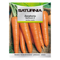 Berlicum carrot garden seeds
