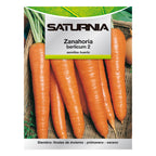 Berlicum carrot garden seeds