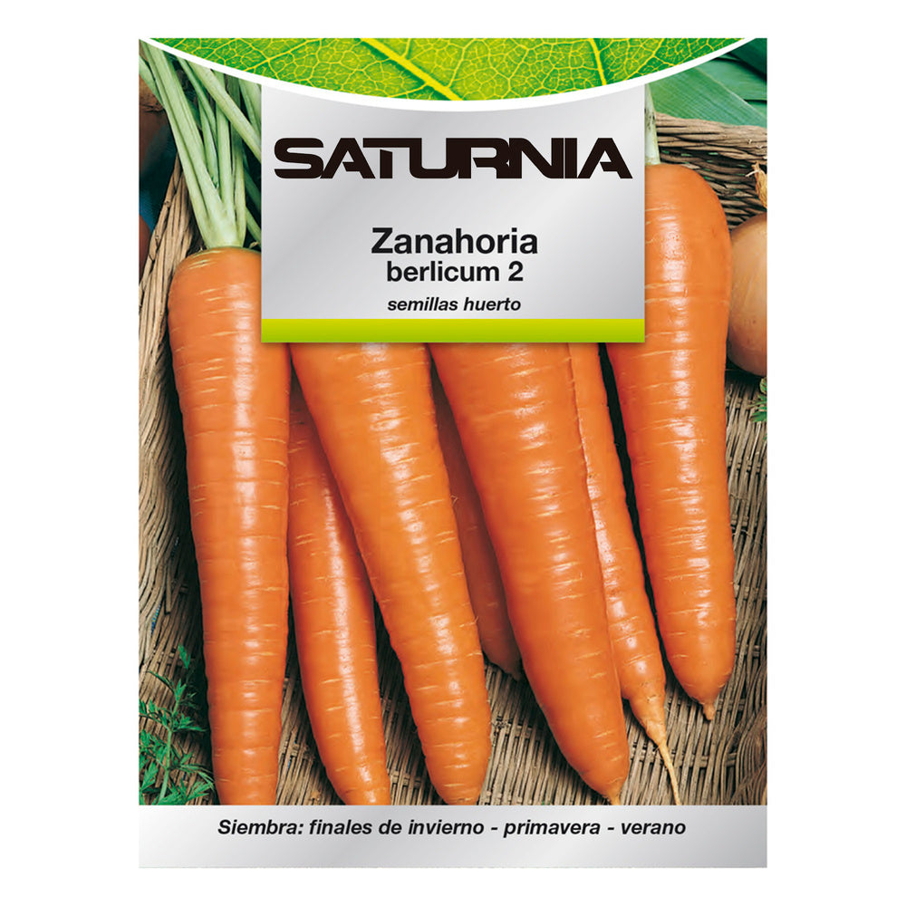 Berlicum carrot garden seeds
