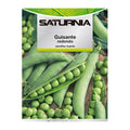Semillas huerto guisantes