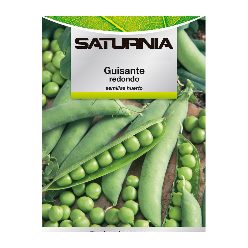 Garden pea seeds