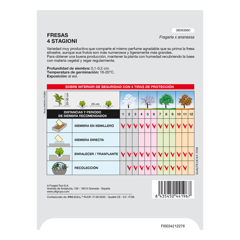 Strawberry garden seeds