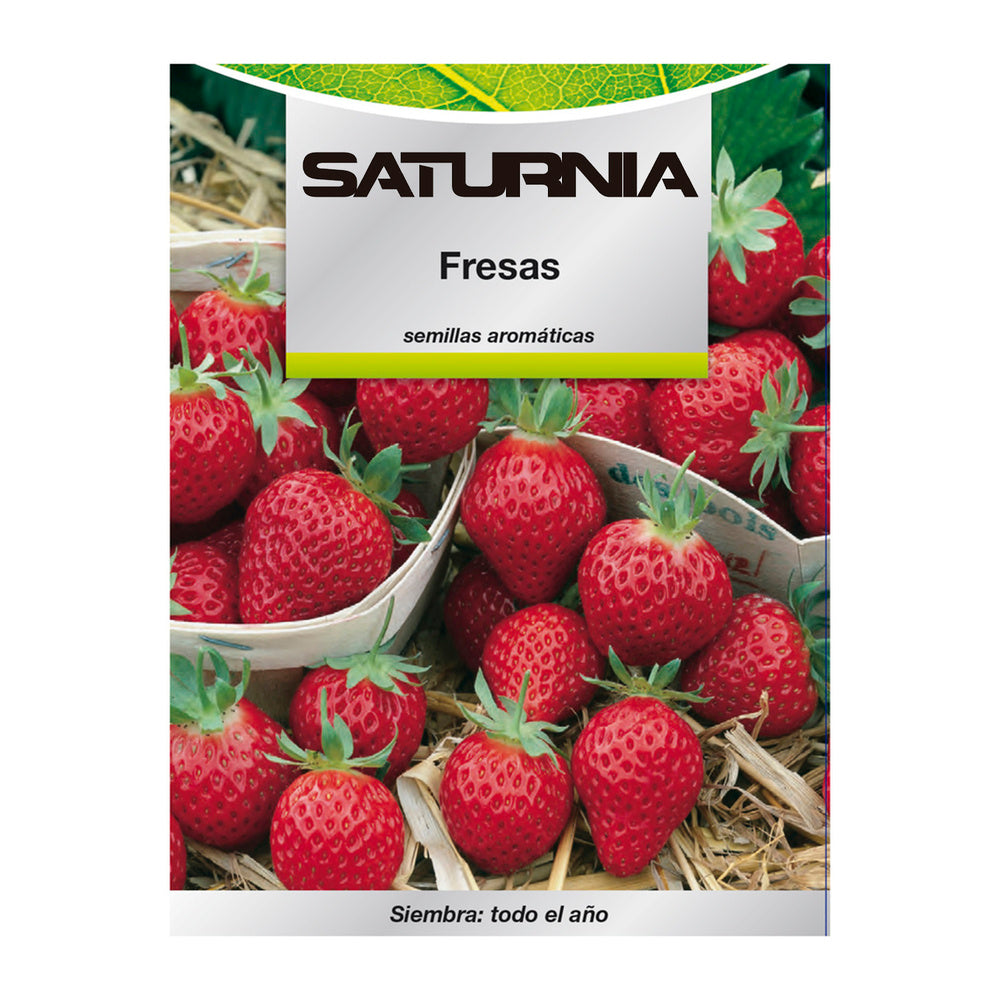 Strawberry garden seeds