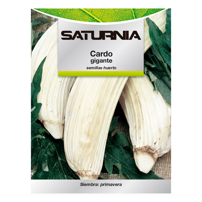 Semillas huerto cardo