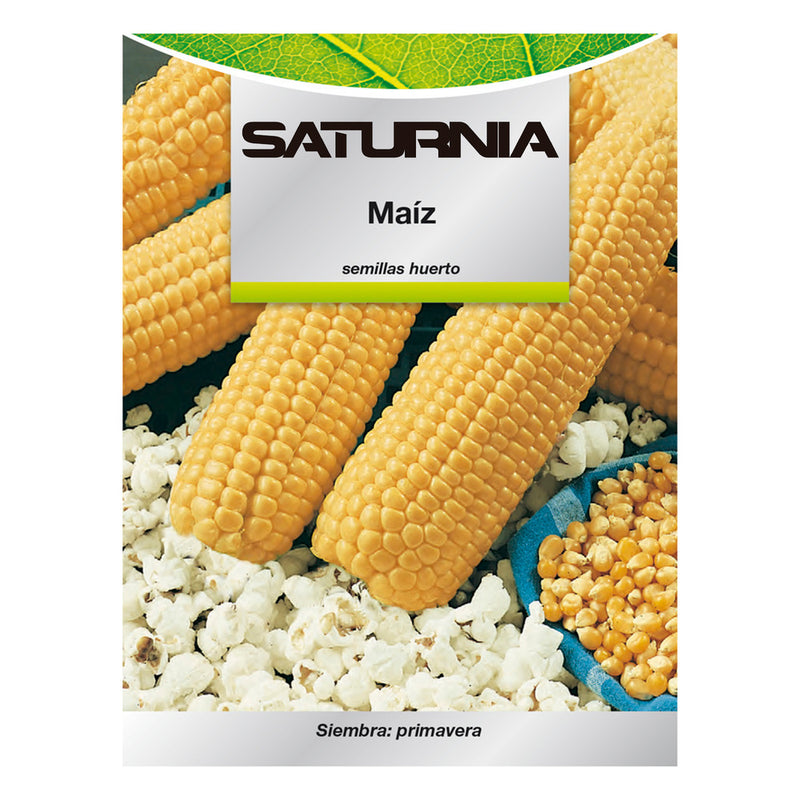 Semillas huerto maiz