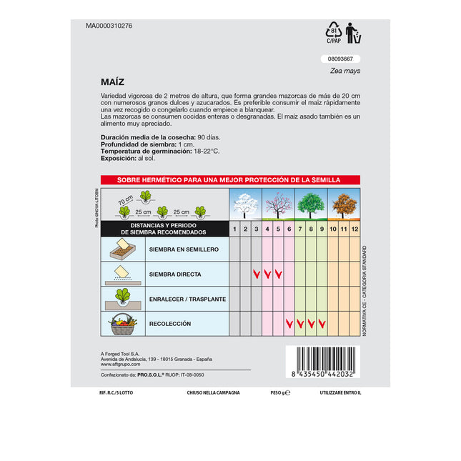 Semillas huerto maiz